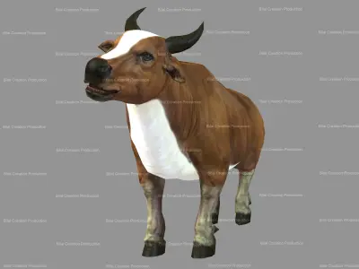 Cow Animated Low-poly 3D model