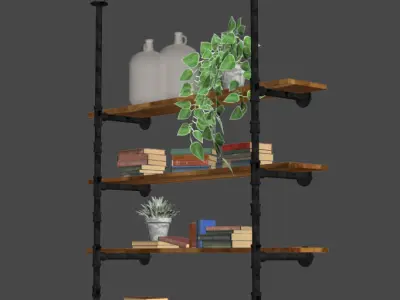 shelving shelf with books and plants 3D model