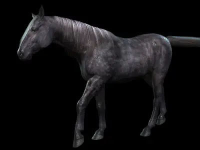 Thoroughbred Arabian Horse WILD WORLD PONY 3 Low-poly 3D model