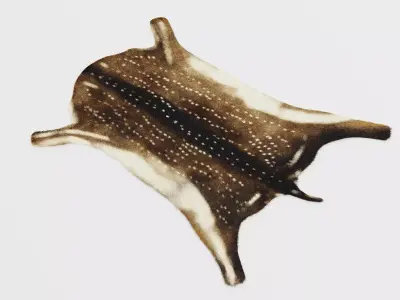 Deer Skin Rug - Realistic Animal Hide 3D model