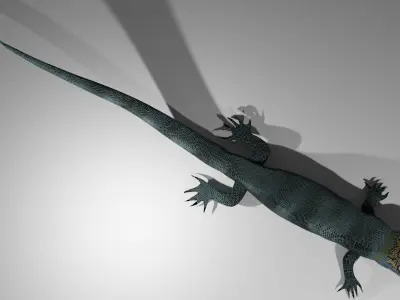 Agama Lizard Low-poly 3D model