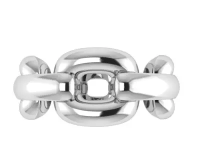 Chain Ring 2642 3D print model