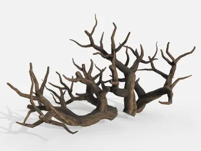 Aquarium Snag Banches V1 3D model