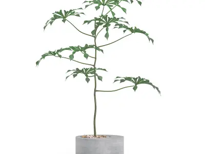 3D Plants IV CGAxis Models Volume 60 Mental Ray 3D model