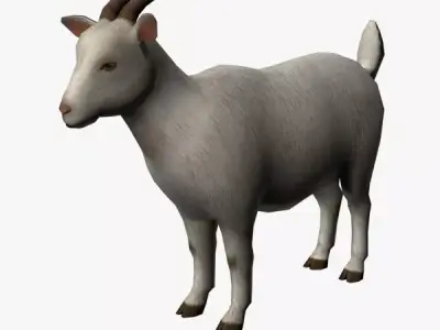 Goat 3D Low-poly 3D model