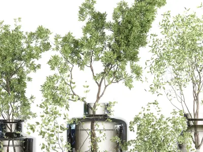 collection Plants Bouquet Indoor glass vase 08 3D model