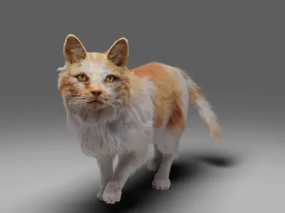 Fur Cat Calico  V02 Rigged Low-poly 3D model