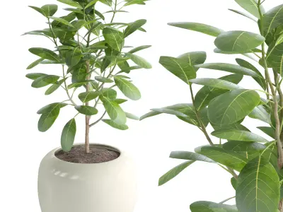 Terracotta plant pot 3D model