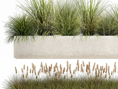 Potted reeds for landscaping 1075 3D model