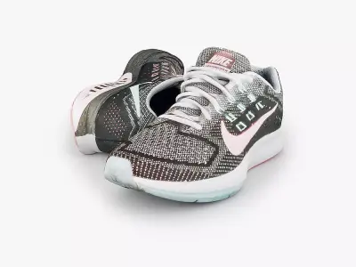 Nike Zoom Structure 18  3D model