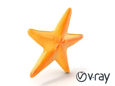 Starfish Natural Color Detailed Shape model pack Low-poly 3D model