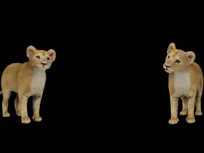 Lion Cub Low-poly 3D model