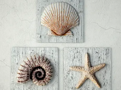 Nautilus Seashell and Starfish Plaques 3D model