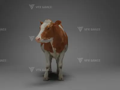 Holstein Female Animation - VFX Grace 3D model