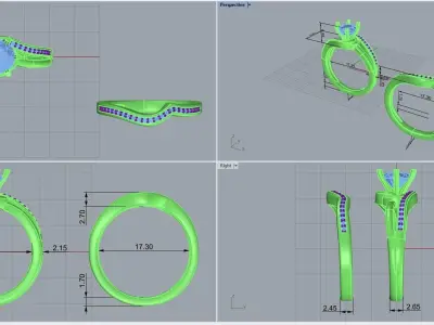  ring code 247 3D print model