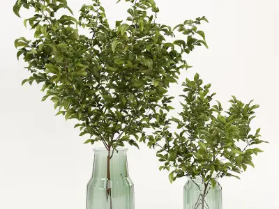 Branches in a vase 002 3D model