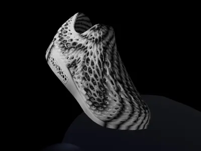 Wearable 3D print shoe 3D print model