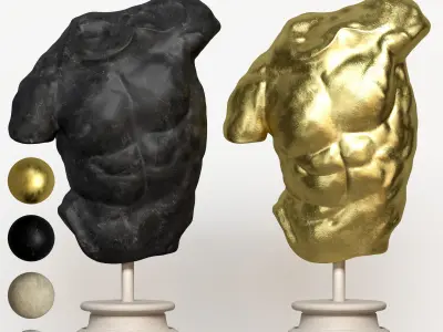 Male Torso Decor Set 25  3D model