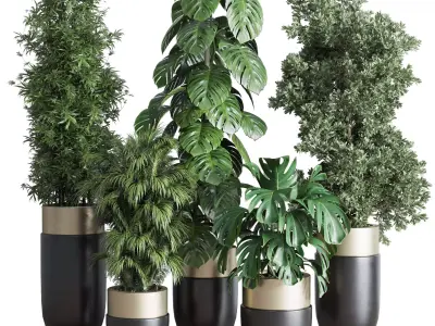 indoor plant set 312 longhi godwin pot bamboo monstera Low-poly 3D model