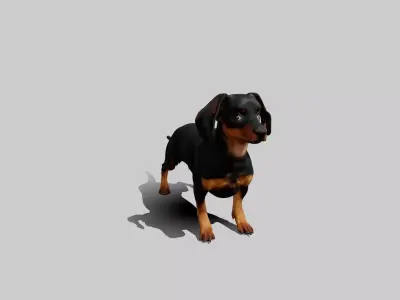 Rigged Animated Pinscher Dog Low-poly 3D model