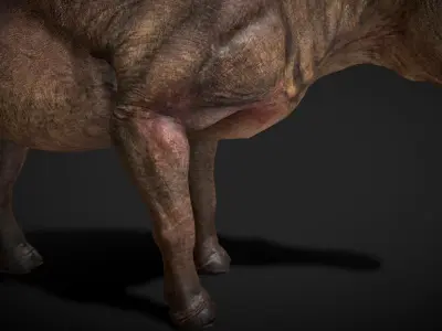 Daeodon Low-poly 3D model