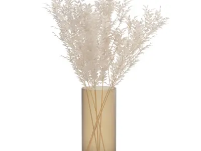 dried flowers set - pampas 3D model