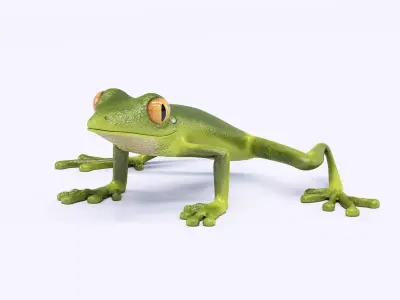 Green Frog 3D model