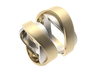 Ring 0145 3D print model