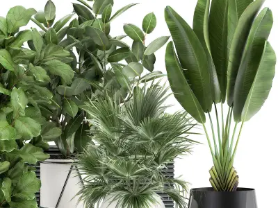 Houseplants in a flowerpot for the interior 935 3D model