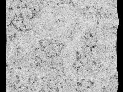 526-RockPanel rock texture 3D model
