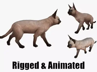 animated siamese cat Low-poly 3D model