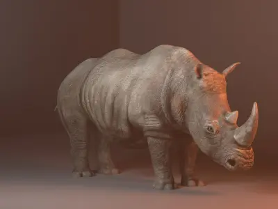 Rhino 3d model rhinoceros Low-poly 3D model buy