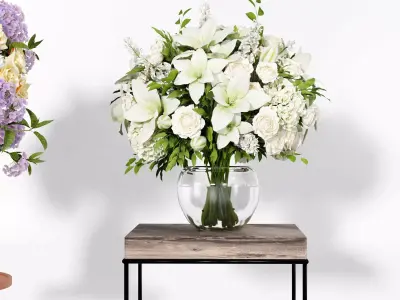 Flower plant set 07 3D model