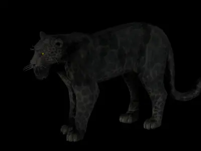 Black panther Jaguar Photorealistic Rigged 3d Blender 4K model  3D model