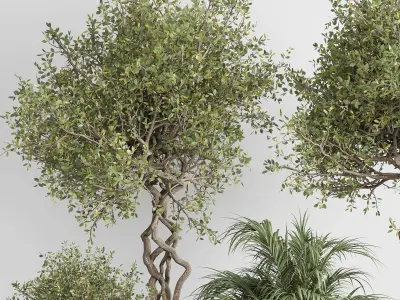 outdoor plant set 185 pot plant tree palm concrete dirt vase Low-poly 3D model