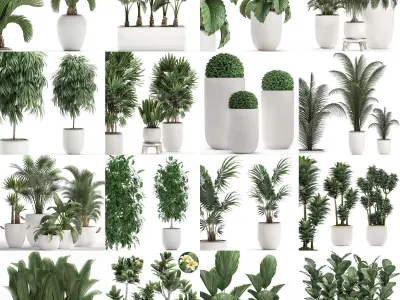 Collection of plants 32 pieces 3D model