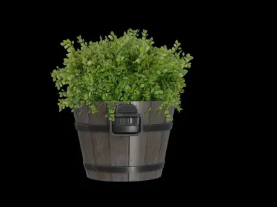 Wooden Bucket with Plant Low-poly 3D model