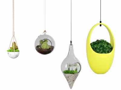 decorative hanging plant 3D model