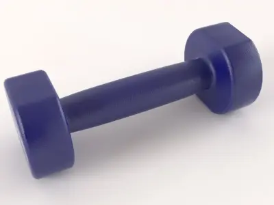 Metal 5kg Dumbell 3D model