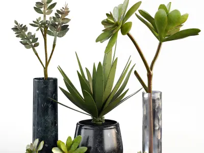 Collection plants 3D model 02
