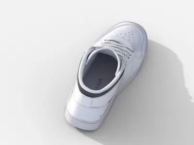 3D model of Tomy  hilfiger shoes pbr 3d Low-poly 3D model