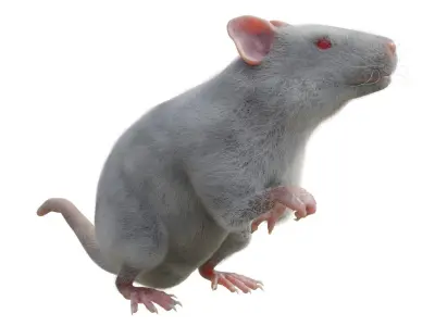 RET FOR VFX CGI 3D model