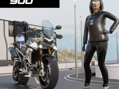 Triumph Tiger 900 RallyPro 3D model