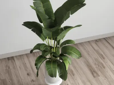 Indoor plant 80 pot plant concrete vase 3D model