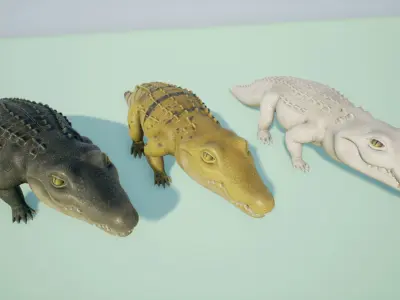 Crocodile stylized Low-poly 3D model