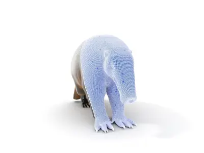 Anteater Model Pack  Detailed and Versatile D Creature Low-poly 3D model