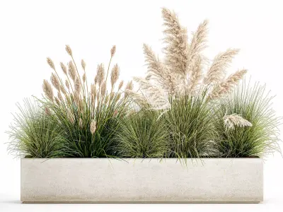 Potted reeds for landscaping 1077 3D model