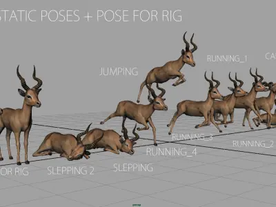 IMPALA POSES Low-poly 3D model