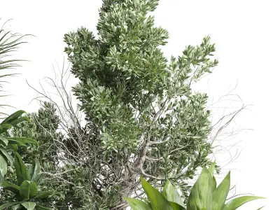 Indoor plant 461 concrete dirt vase plant palm fiucs tree pot 3D model