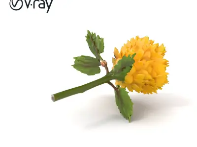 Yellow Ranunculus Flower Botanical model pack Low-poly 3D model